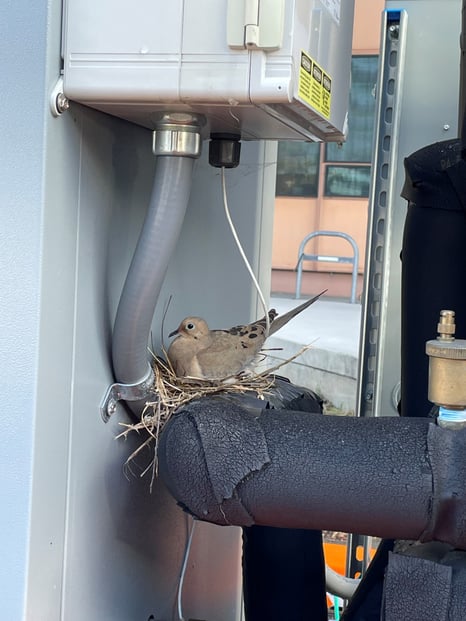 Bird_FlowEquipment202604